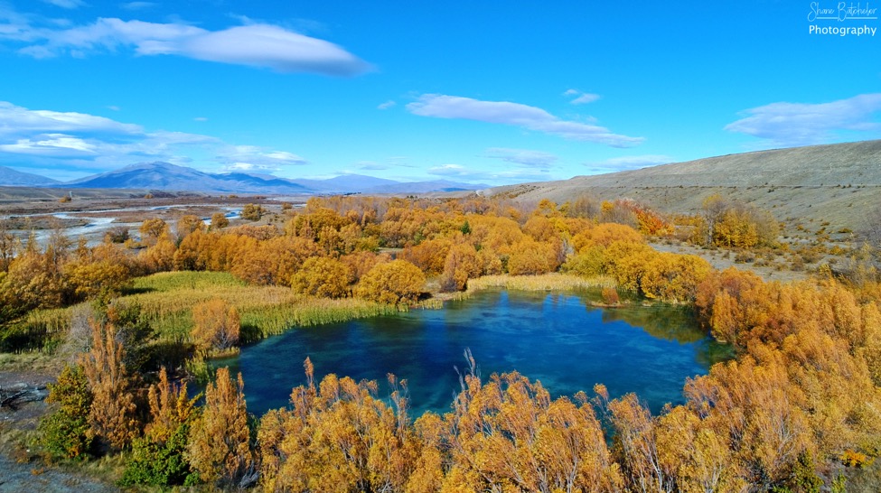 Patterson Ponds