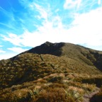 IMG_3541.JPG