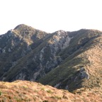IMG_3542.JPG